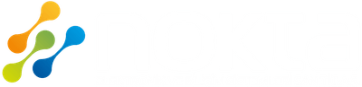 NOKTA Elektronik logosu